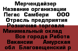 Мерчендайзер › Название организации ­ "Пегас" Самбери-3, ООО › Отрасль предприятия ­ Розничная торговля › Минимальный оклад ­ 23 500 - Все города Работа » Вакансии   . Амурская обл.,Благовещенский р-н